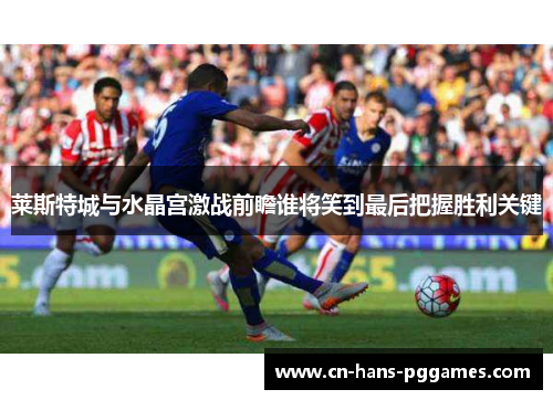 莱斯特城与水晶宫激战前瞻谁将笑到最后把握胜利关键 莱斯特城与水晶宫激战前瞻谁将笑到最后把握胜利关键