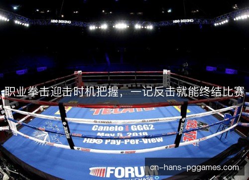 职业拳击迎击时机把握，一记反击就能终结比赛